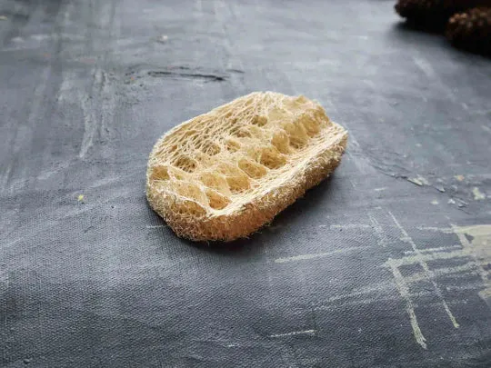 Loofah Dishwashing Sponge | Vegan Long Lasting Kitchen Sponge