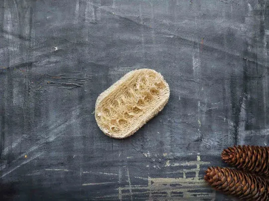 Loofah Dishwashing Sponge | Vegan Long Lasting Kitchen Sponge
